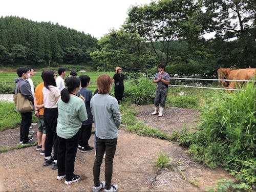 草原が広がる阿蘇の景観に欠かせない、あか牛の飼育と循環型農業