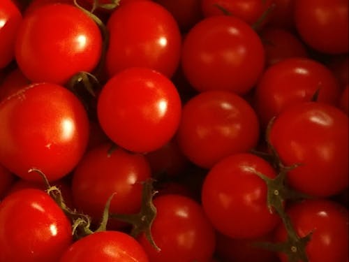 フルーツトマトも有名です♪