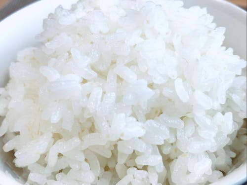 炊き立てのご飯！