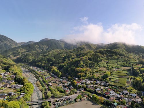 寄地区の真ん中を流れる中津川と周囲の集落・茶畑