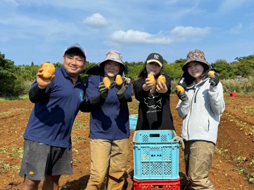 じゃがいも農家で農業バイトをする女子