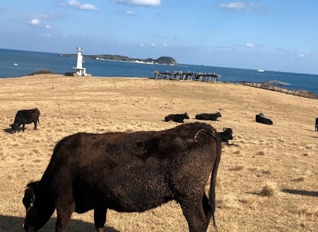 加部島の牧場から見る小川島