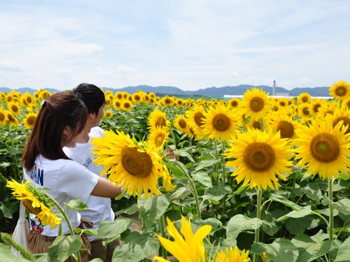まだまだ活かせる地域資源はたくさんあります