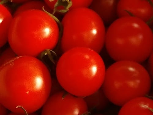 フルーツトマトも絶品!