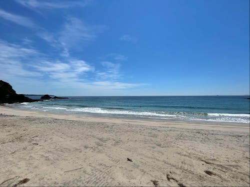 青い海、白い砂浜が南伊豆の魅力のひとつ!