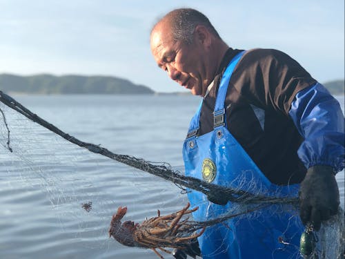 熱いフィッシャーマンたち