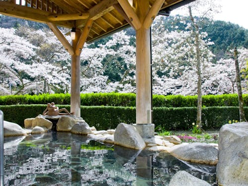 男女日替わりの露天風呂