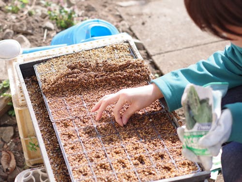 現在、坂勘含む地域の休耕地を片っ端から再生させる!シェアファーム構想進行中。こちらも仕組化し多くの人と共謀したい!