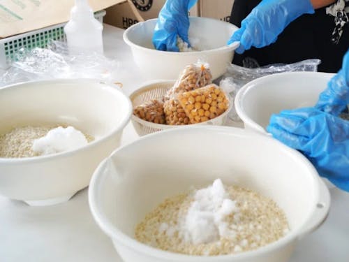 麹と豆と塩だけでつくる味噌作り