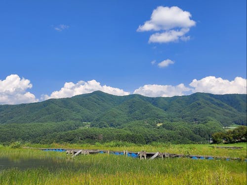 両アルプスに癒される毎日です