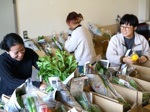 曽爾村の野菜を詰め合わせて梱包し、都市部の消費者に発送