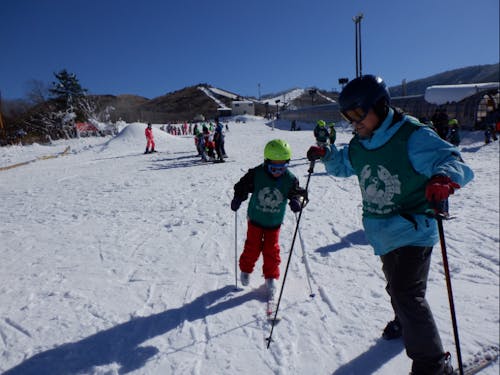 スキー教室