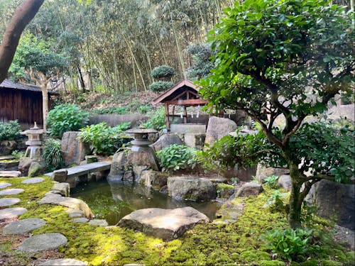 空き時間にお庭でゆっくり過ごすことも