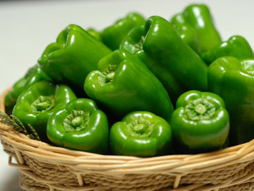 豊岡を含む但馬地域（兵庫県北部）は関西一のピーマンの産地！