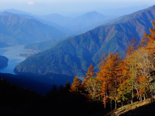 雄大な山々の様子