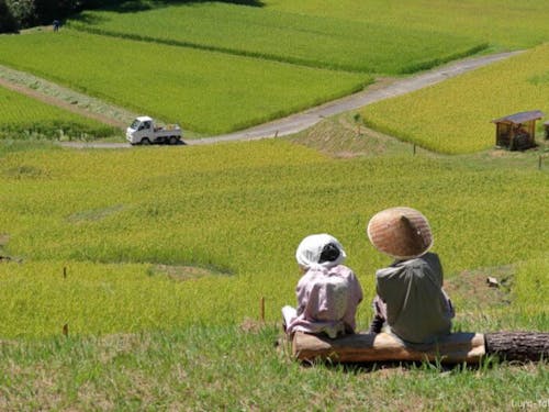 飯田市千代よこね田んぼイベント会場そば