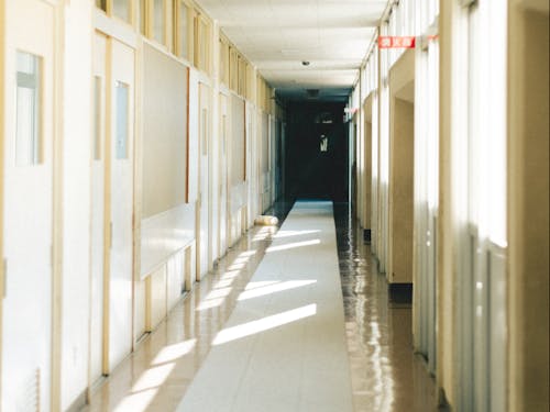 事務所は旧草野小学校の校舎内にあります