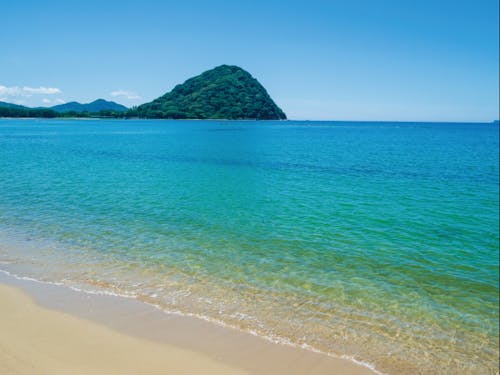 写真の菊ヶ浜をはじめ、美しい海がすぐそこに!!