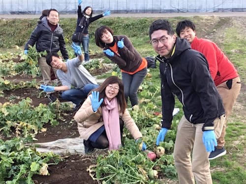 町を訪れるゲストは多数。いっしょに農業体験という機会も