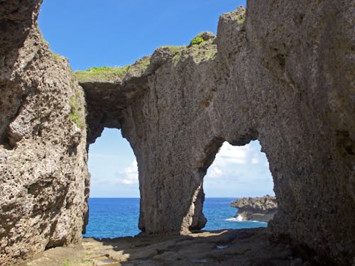 犬の門蓋(いんのじょうふた)