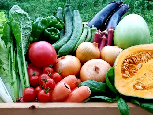 自然の恵みをたっぷり受けたにしもろ地域の野菜