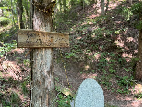 ランドル先生手作りの看板とコースの入り口