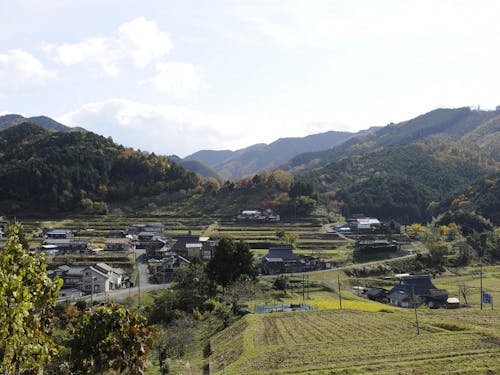 のどかな周辺の風景