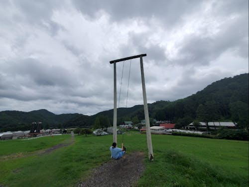 大きなブランコで自然を満喫する様子