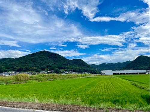美しい田園風景が広がる。地域全体が教材。