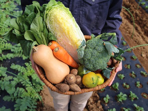 ファーマーズセンターーみのーれ立川