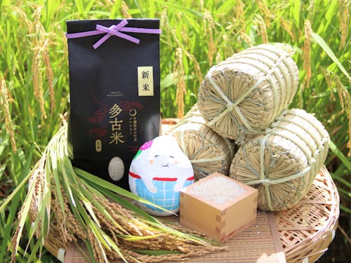 多古米と多古町のマスコットキャラクターのふっくらたまこさんです!