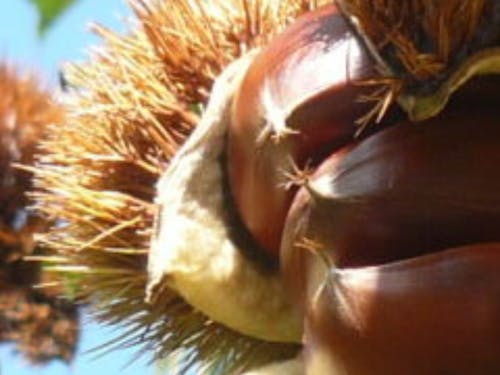 各市町の特産品をいただきながらゆっくりお話しませんか。