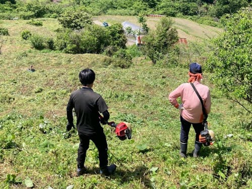 楽しい楽しい草刈作業