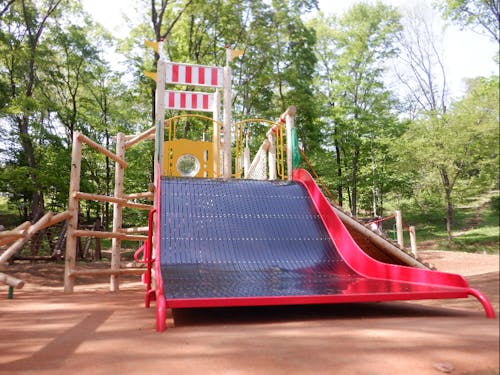 「狭山緑地フィールドアスレチック」の様子