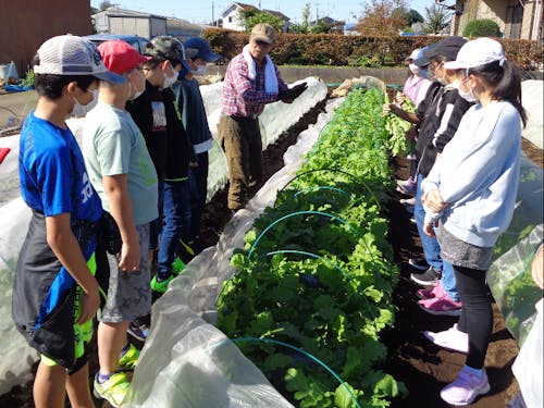 「やすじぃの農園」でサツマイモの収穫体験