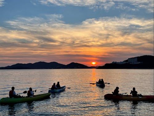 せとうち留学生のアクティブ体験の様子