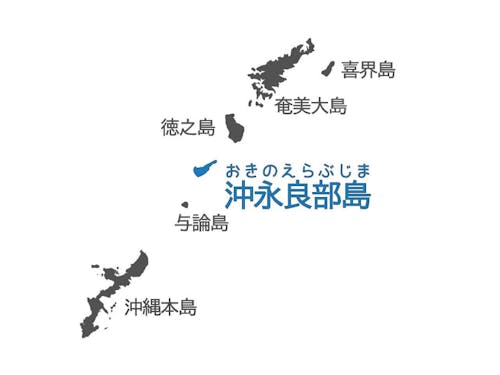 奄美群島と沖縄本島