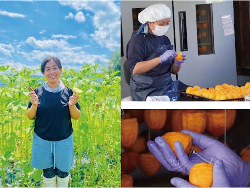 ママ農家・杉苗屋源四郎農場のあきよさん&干し柿作り