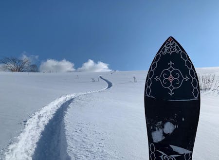 自作の雪板で、日本一のパウダースノーを遊び倒す