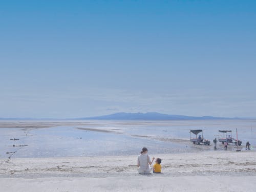 渡り鳥や魚介類など多様な生物が身近に(荒尾市)