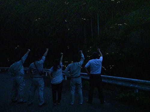 大自然を職場のみんなで体験!