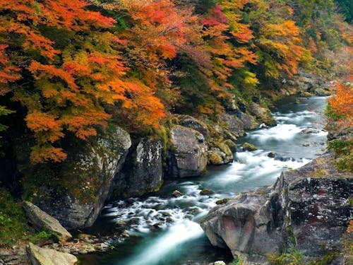 金砂・富郷の渓谷
