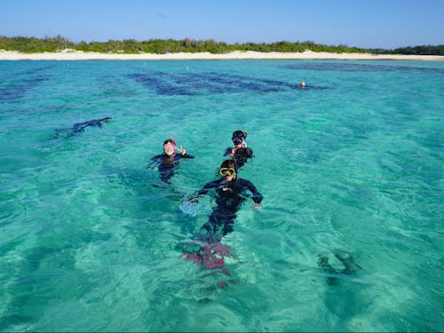 水が豊かだからこそ、海も豊か