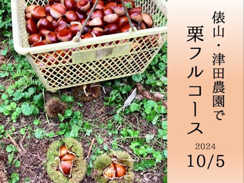 秋の実り!俵山・津田農園で栗フルコース(お土産付き)