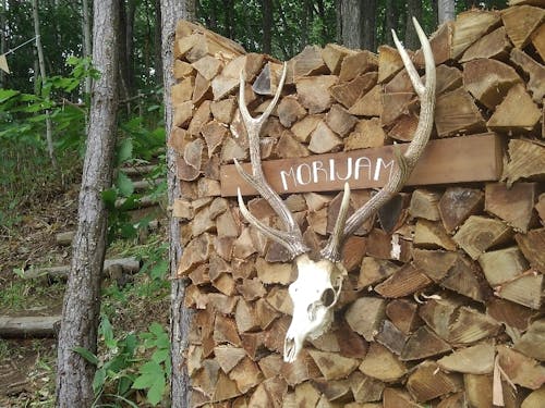 出展内容は森の好きなこと!森ジャム!