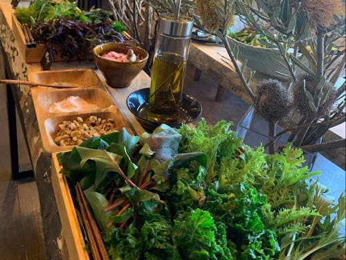 森を食べるコンセプトのサラダバイキング