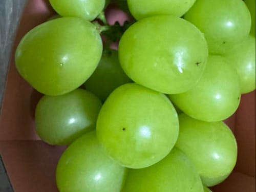 会場はリンゴのほかブドウやお米を作る農家さんです。