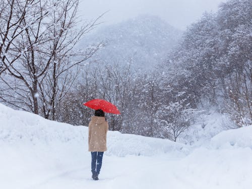 路面が凍っていて、歩くのも大変…