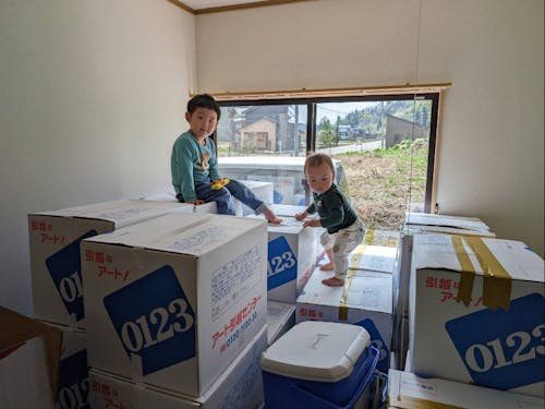 引越し直後の様子