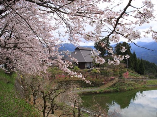 立石地区の景観